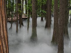 -东湖落雁景区
