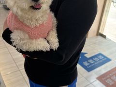 -申普宠物医院·眼科·心内科·影像科(普陀分院)