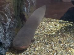 -华夏文旅西安度假区