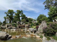 -东莞植物园