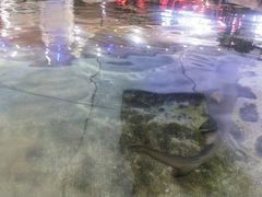 -鸿通城购物中心