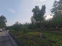 -迎泽公园