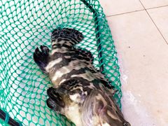 -鑫鸿达·海鲜闽菜热炒小馆(中山路店)