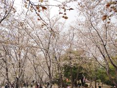 -堤角公园