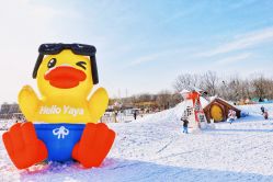 -268童话露营农场·烧烤·团建