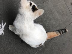-凡德艺术街区