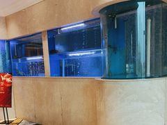 -红顶食府(滨湖九号店)