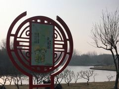 -塘沽森林公园