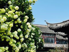 -常熟方塔园
