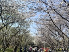 -白塘生态植物园
