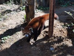 -杭州野生动物世界