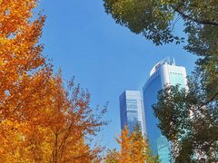 -西北湖绿化广场