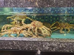 -宝燕壹号(徐汇店)