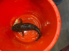 -瑞福园联谊餐室(茂名南路店)