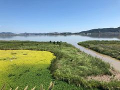 -漩门湾国家湿地公园