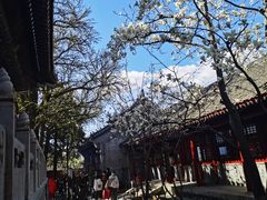 -红螺寺