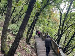 -帽儿山国家森林公园