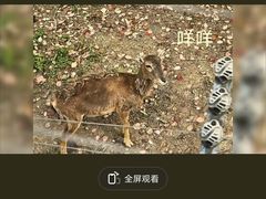 -南昌动物园