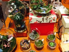 -矢量咖啡(万象汇店)