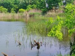 -西湖风景区-江洋畈生态公园