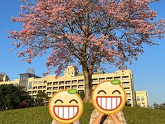 -风云岭森林公园