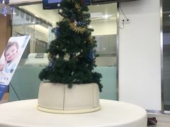 -天使口腔门诊部(上海店)