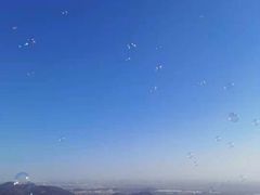 -鬼笑石后山停车场