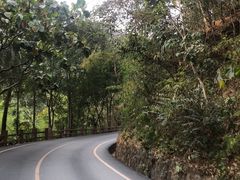 -西双版纳原始森林公园