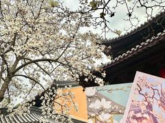 -灵谷景区