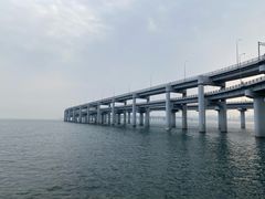 -星海湾跨海大桥
