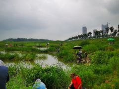 -哈尔滨大剧院