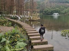 -重庆彩云湖湿地公园