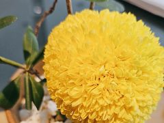 -西村日本料理(香格里拉饭店)