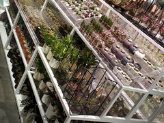 -KKV(深圳宏发大仟里店)