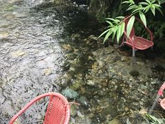 -源泉冷水鱼庄(小鱼洞店)