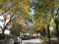 -北京国家会计学院