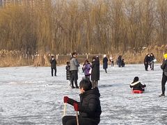 -东坝千亩湖公园