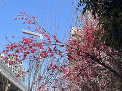 -红星桥(地铁站)