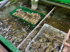 -無招牌海鮮(芽笼店)