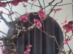 -石家庄市植物园