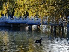 -北京邮电会议中心