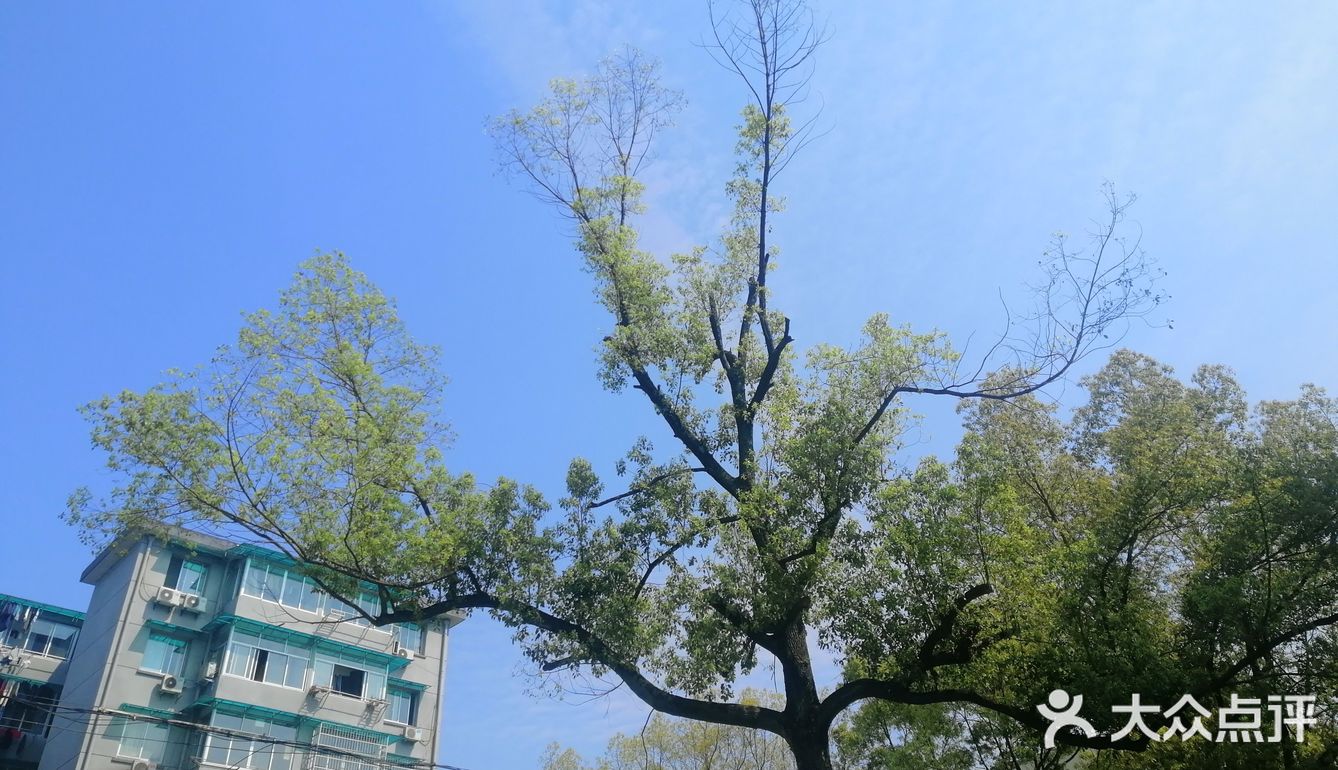 空气中散发得淡淡的青草味！大家在外面玩还是挺多的！