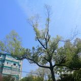 空气中散发得淡淡的青草味！大家在外面玩还是挺多的！