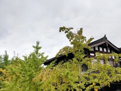 -平乐古镇