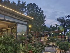 -蘇河湾·新鲁菜·泰山宴(泰山店)