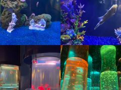 -海合安武汉极地海洋公园