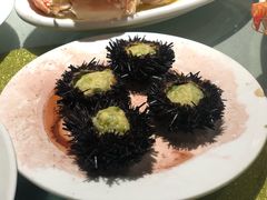 海胆-南蚝小贝海鲜特色餐厅(南澳岛店)