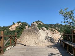 -大岭沟猕猴桃谷风景区