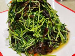-森谷美食公园(杨行店)