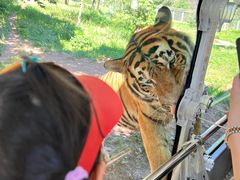 -西安秦岭野生动物园